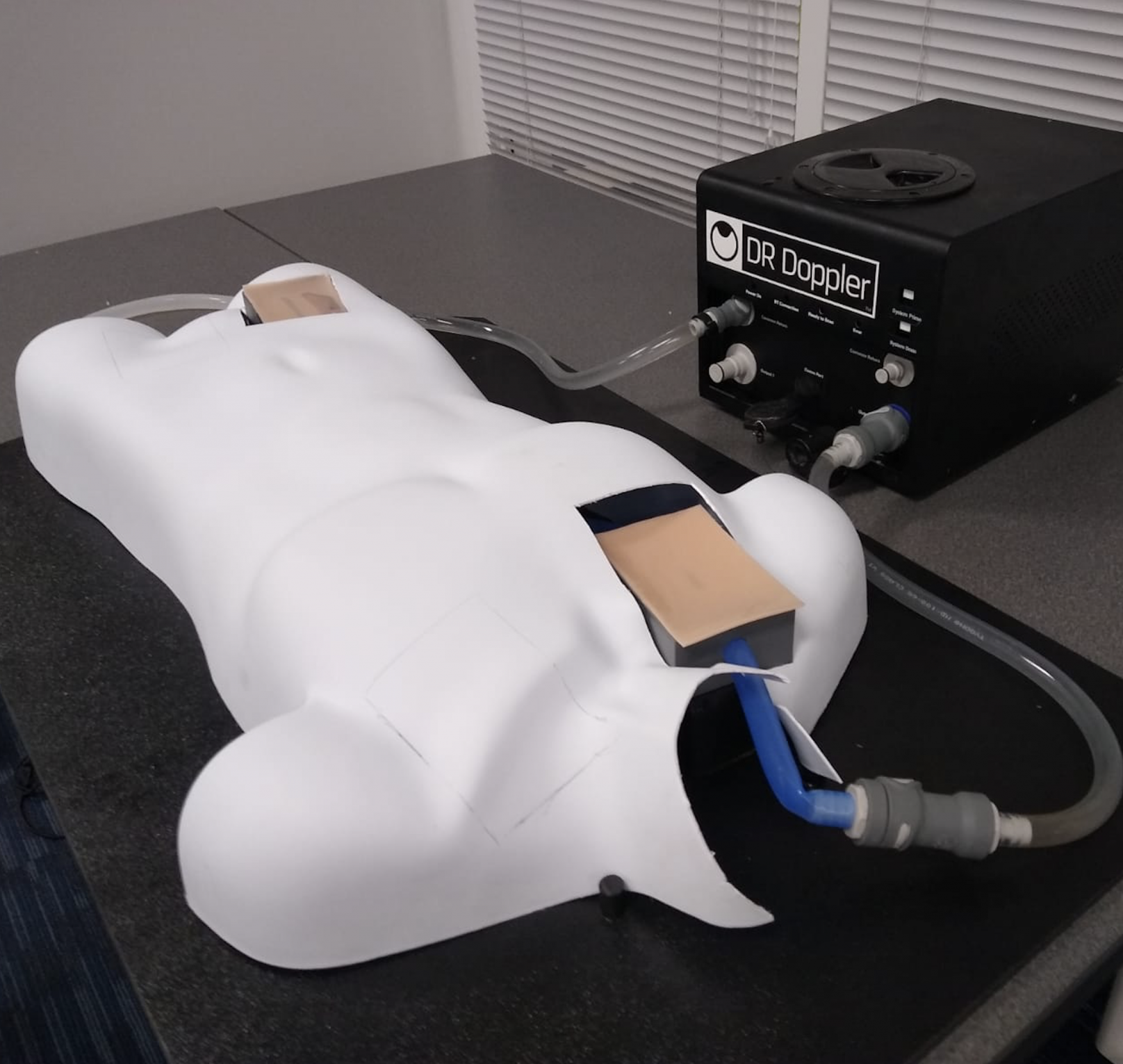 Extracorporeal Membrane Oxygenation Training Simulator